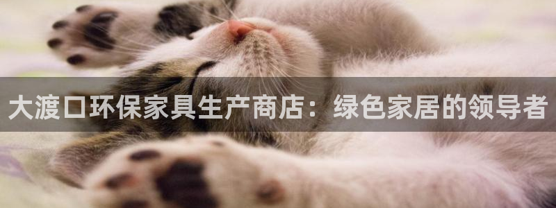 杏耀平台注册代理
