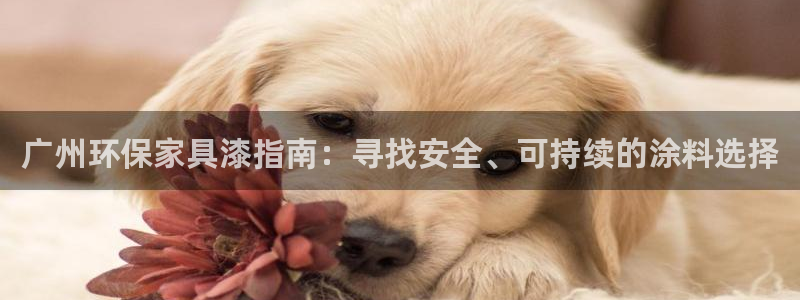 杏耀平台代理登录网址是多少