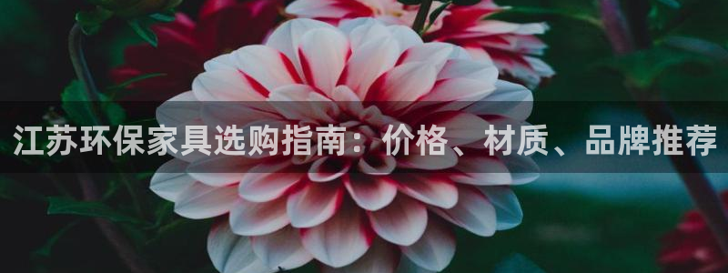 杏耀代理连接