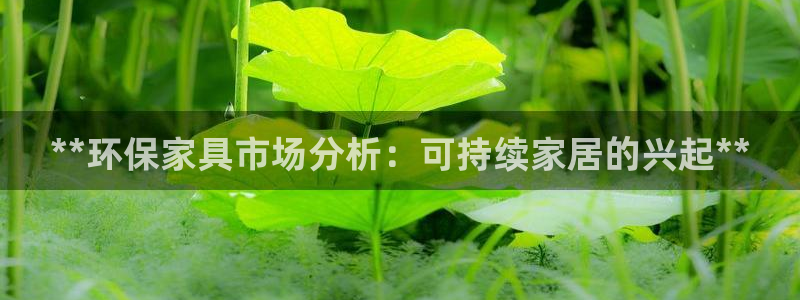 杏耀注册链接