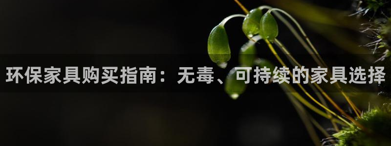 杏耀平台代理注册多少钱