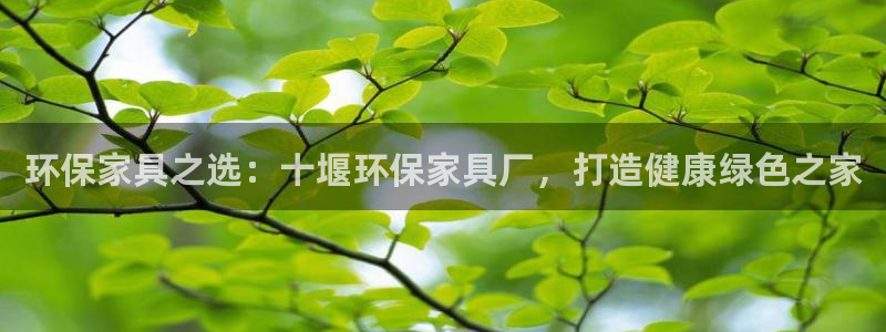 杏耀平台可以提款吗
