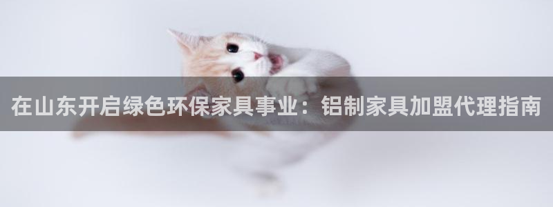 杏耀平台代理注册多少钱一年：在山东开启绿色环保家具事业：铝制
