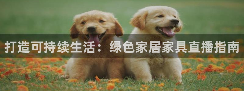 杏耀代理官网