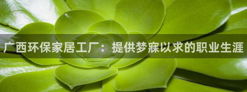 杏耀官网网站