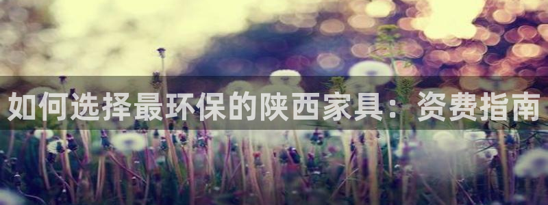 杏耀平台正规么：如何选择最环保的陕西家具：资费指南