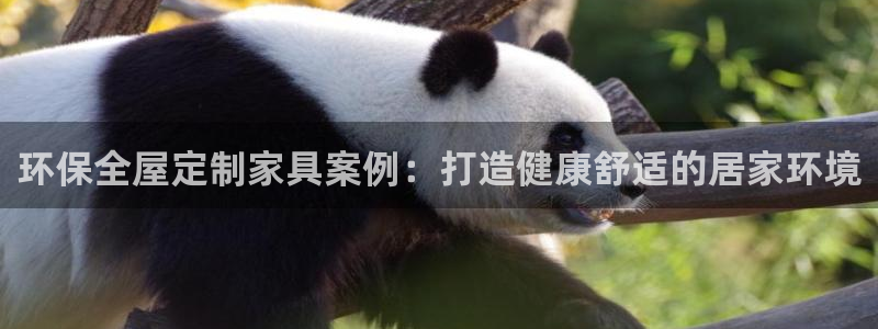 杏耀代理主管qq：环保全屋定制家具案例：打造健康舒适的居家环