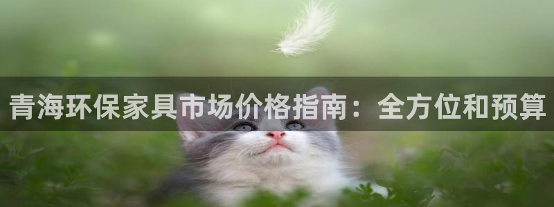 杏耀平台登录网址是什么：青海环保家具市场价格指南：全方位和预