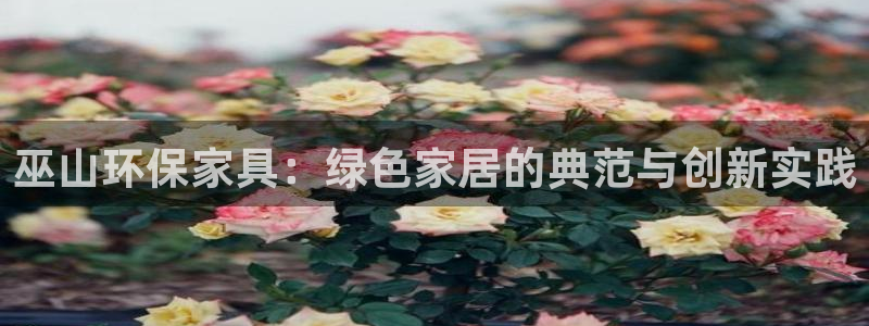 杏耀平台可以提款吗