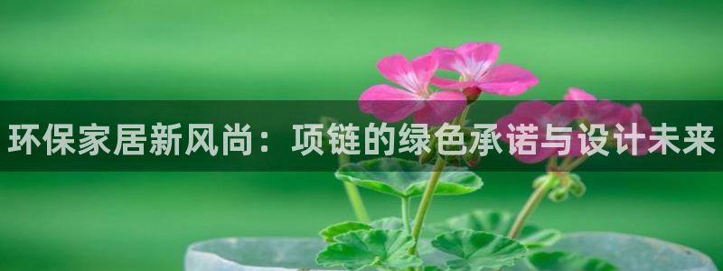 杏耀代理日工资多少：环保家居新风尚：项链的绿色承诺与设计未来