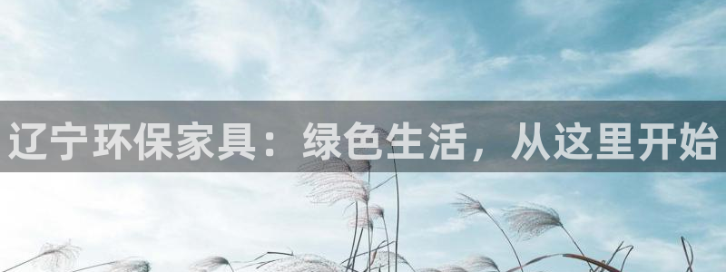 杏耀官方网：辽宁环保家具：绿色生活，从这里开始