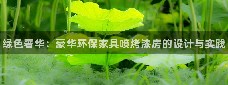 杏耀代理主管qq：绿色奢华：豪华环保家具喷烤漆房的设计与实践