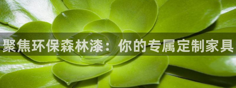 杏耀平台娱乐登陆：聚焦环保森林漆：你的专属定制家具