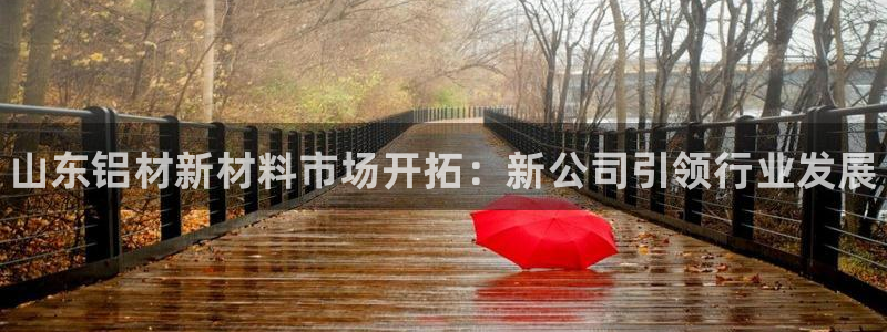 杏耀如何注册：山东铝材新材料市场开拓：新公司引领行业发展