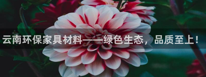 杏耀app怎样申请退款：云南环保家具材料——绿色生态，品质至