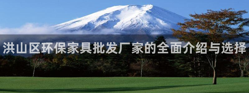 杏耀是什么平台：洪山区环保家具批发厂家的全面介绍与选择